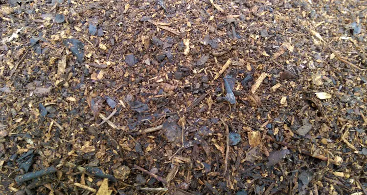 Compost From Chicken Coop