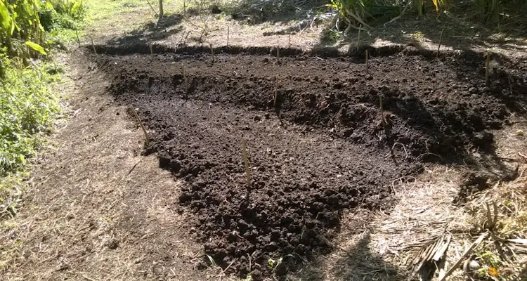 Cutting Terrace From Slope