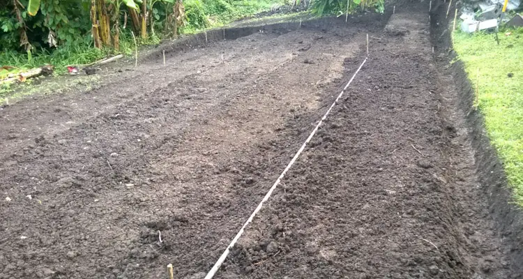 Head Drain