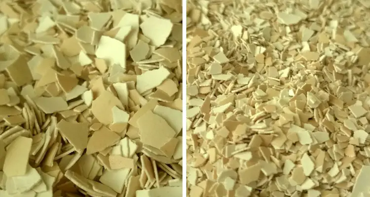 Crushed Eggshells