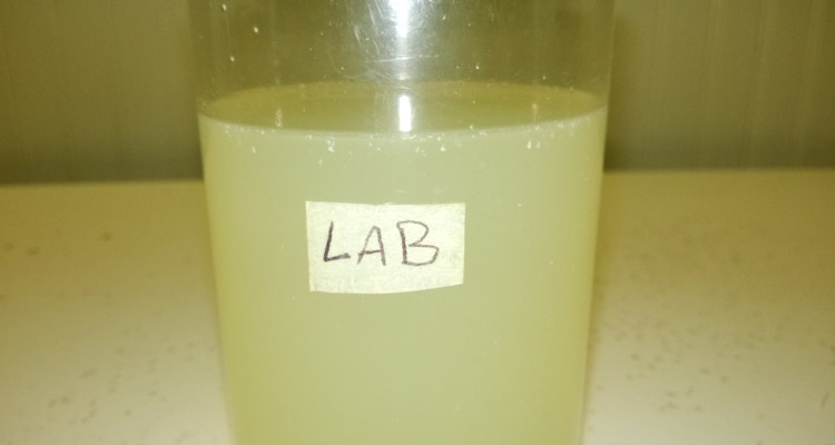 How To Make LAB In KNF