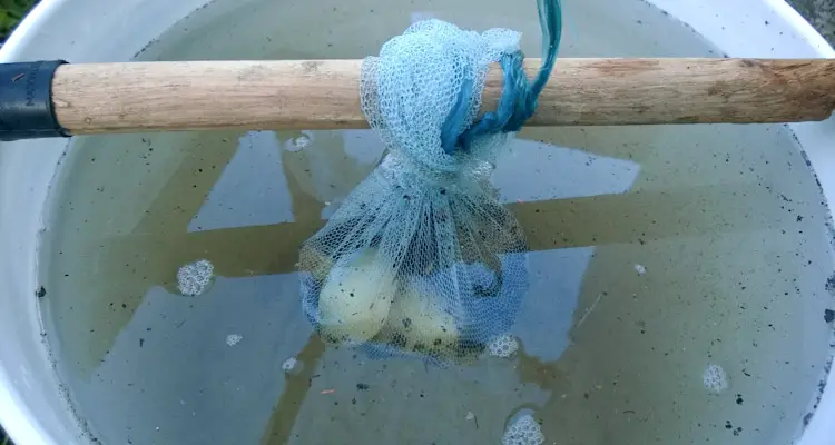 mesh cloth suspended in water