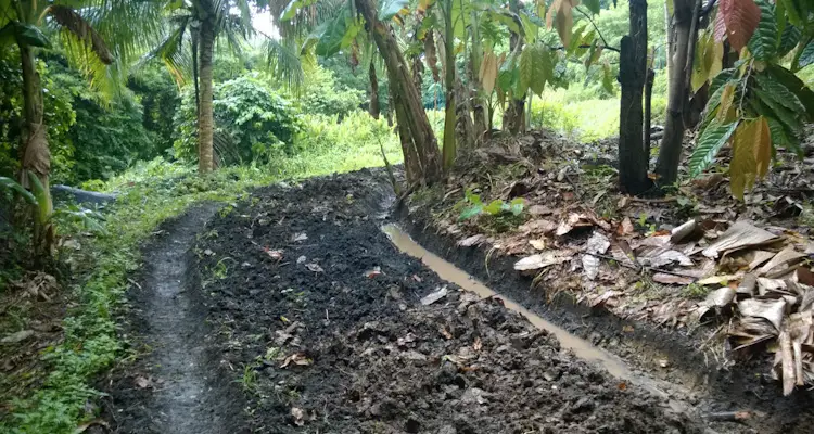 Raised Bed and drains