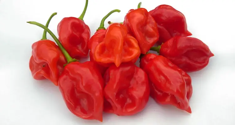 Ripe Seasoning Peppers