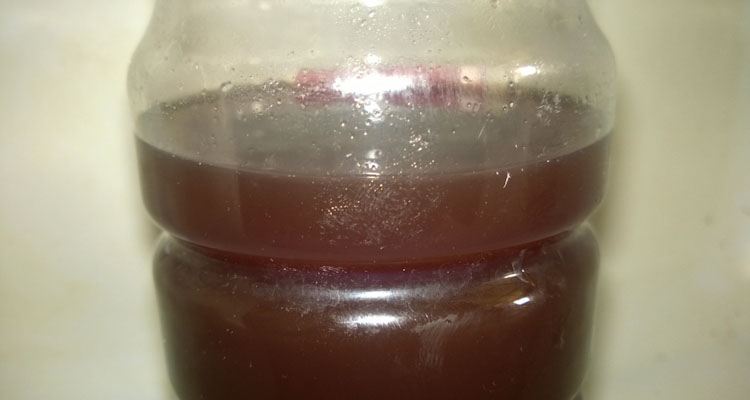 Strained Fermented Plant Juice FPJ