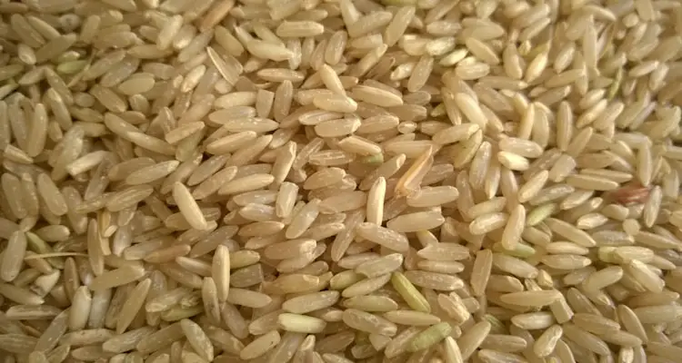 Brown Rice