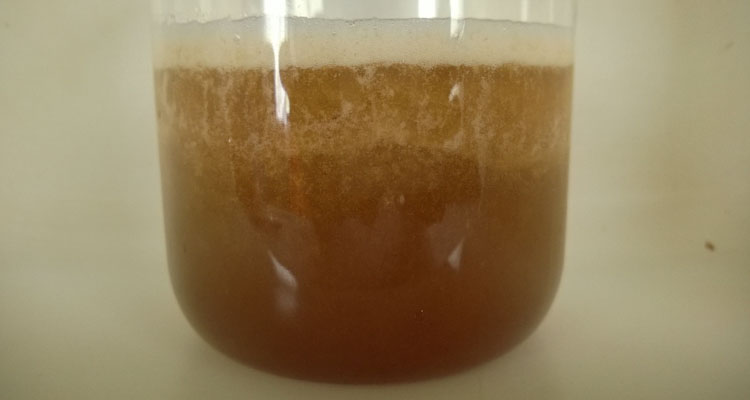 Fermented Fruit Juice Strained