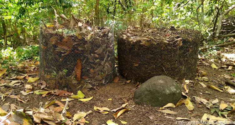 Wire Compost Bin