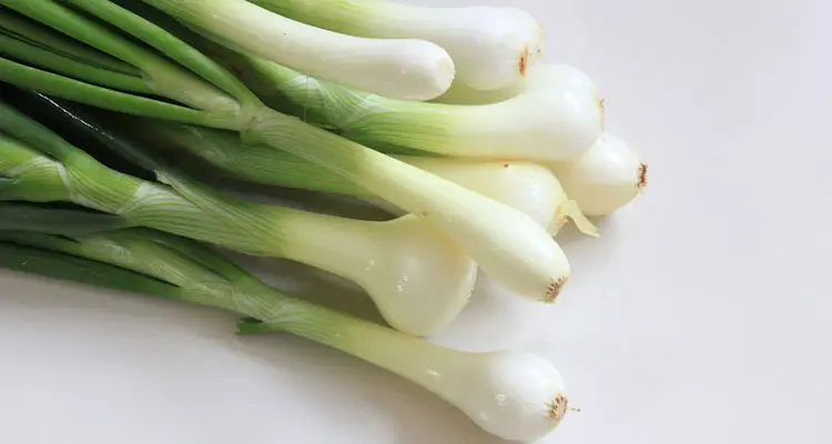 are green onions and scallions the same