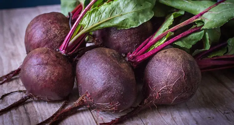 mature beetroots