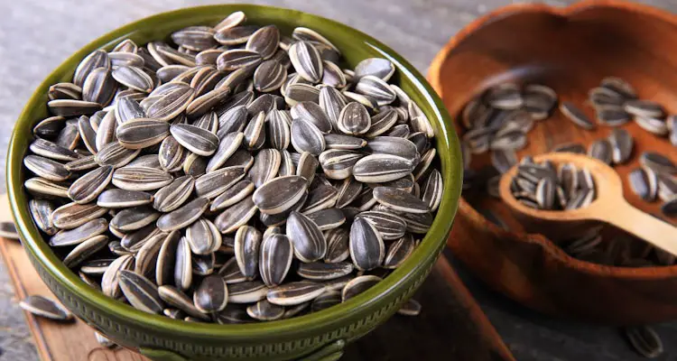 Sunflower Seeds Ready To Use Or Store