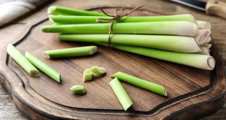 Cut Lemongrass Stalks