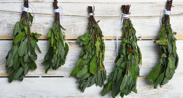 how to hang dry sage
