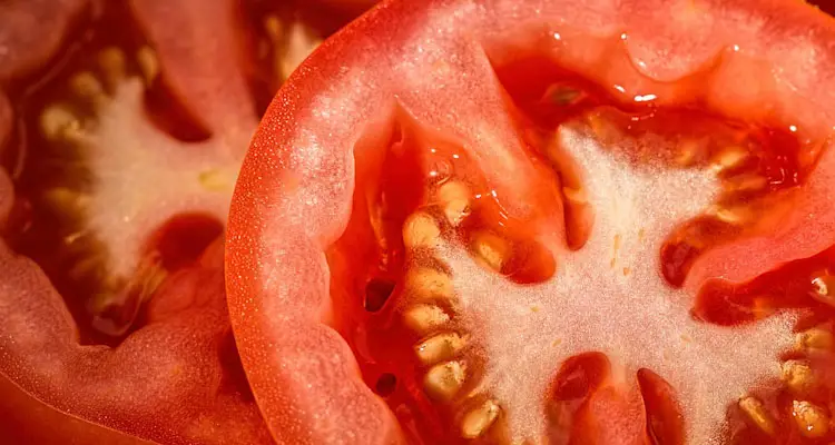 how to save tomato seeds