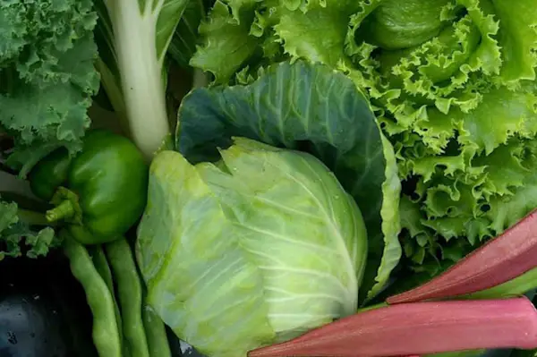 weekly vegetable bundle