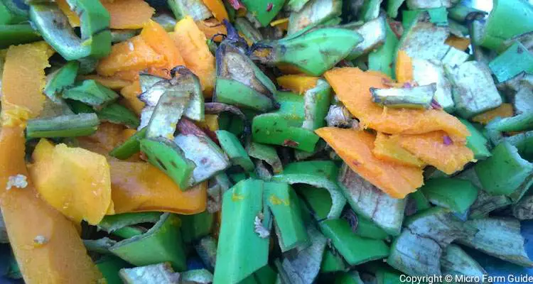 uncooked vegetable kitchen scraps