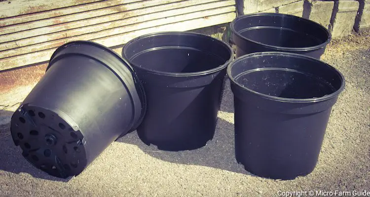 black plastic nursery pots