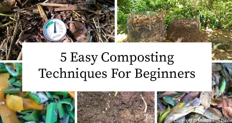 5 easy composting techniques for beginners