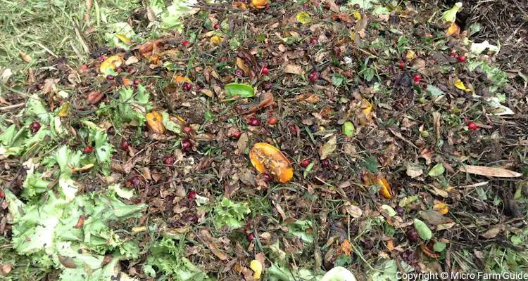 compost pit with kitchen scraps and garden waste