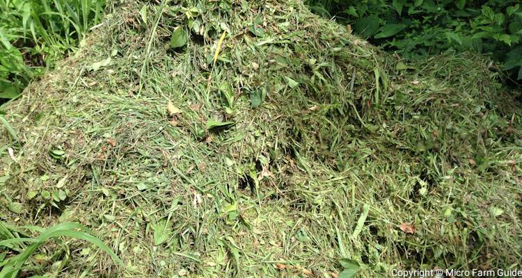 grass clippings on compost pile