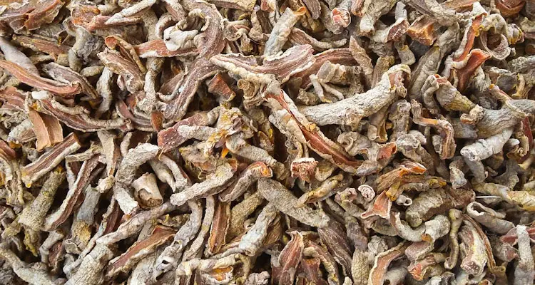 dried turmeric slices