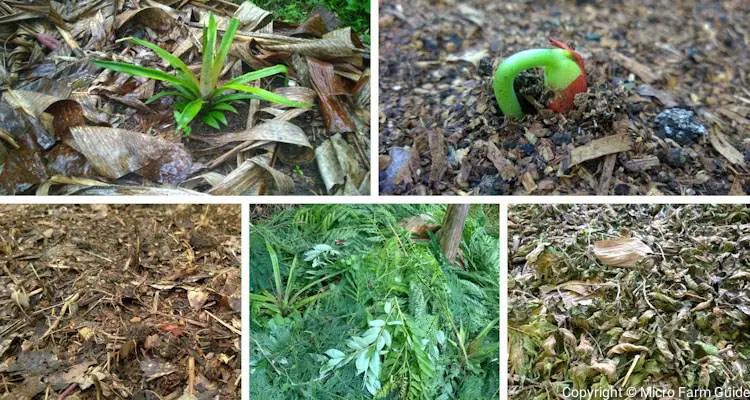 mulch for gardening