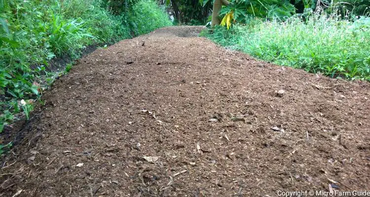 mulch on garden bed