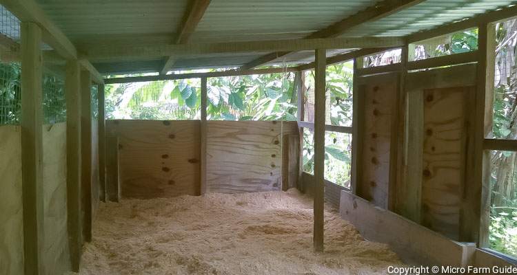 preparing chicken coop for broiler chicks