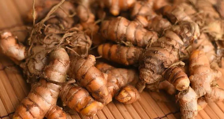 turmeric rhizomes close up