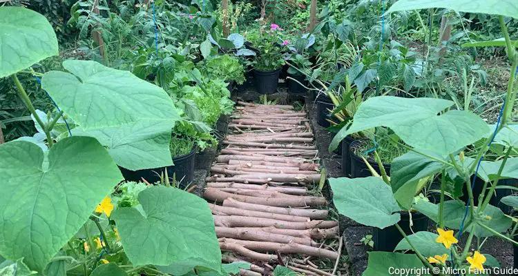 kitchen garden unit