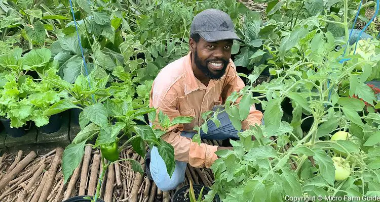 julien kirton in container kitchen garden