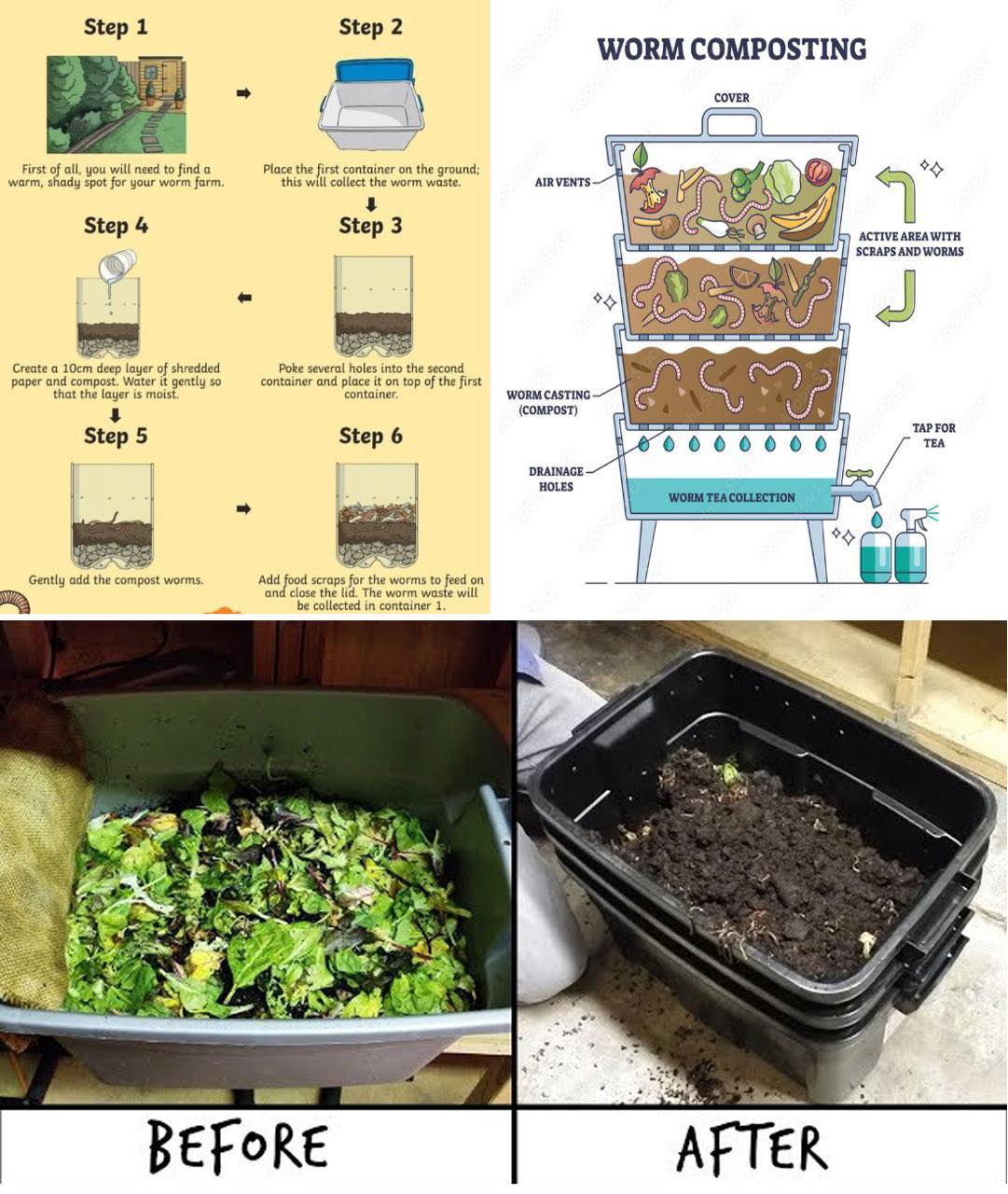 DIY Vermicomposter Plans And Instructions